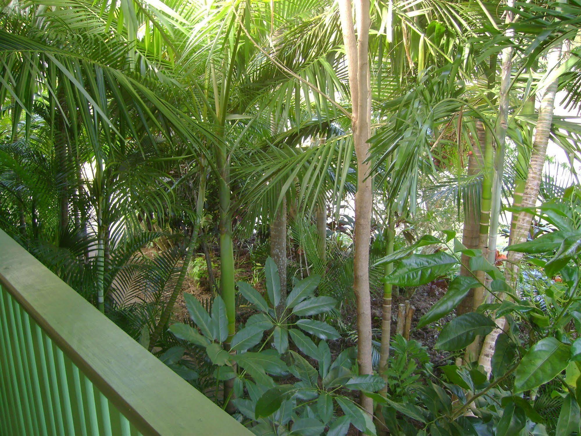 Tropical Nites Holiday Townhouses Port Douglas Eksteriør billede